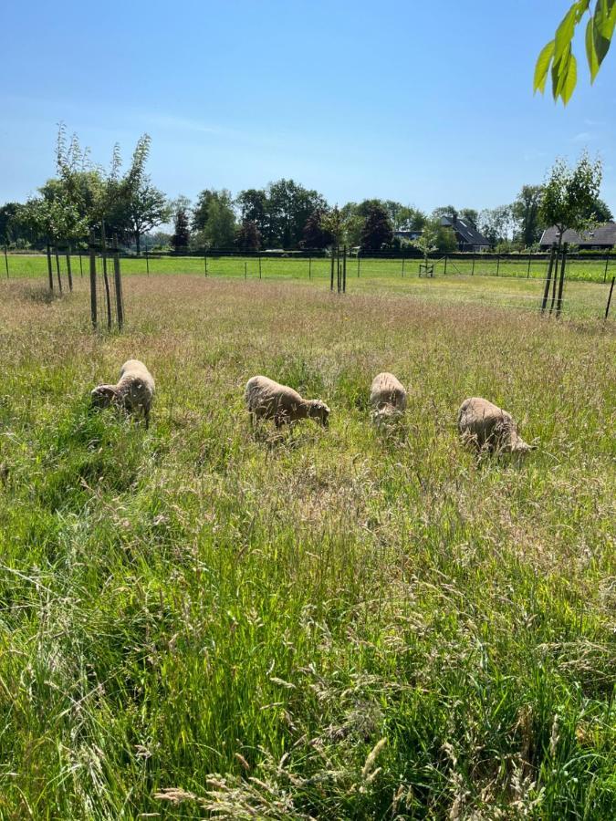 Gastenverblijf Weijdeblik Sinderen Luaran gambar